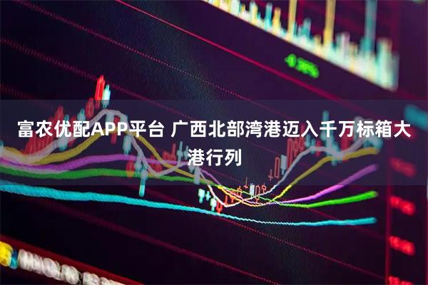 富农优配APP平台 广西北部湾港迈入千万标箱大港行列