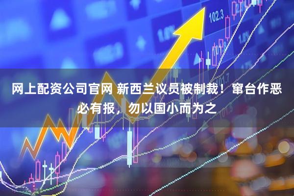 网上配资公司官网 新西兰议员被制裁！窜台作恶必有报，勿以国小而为之